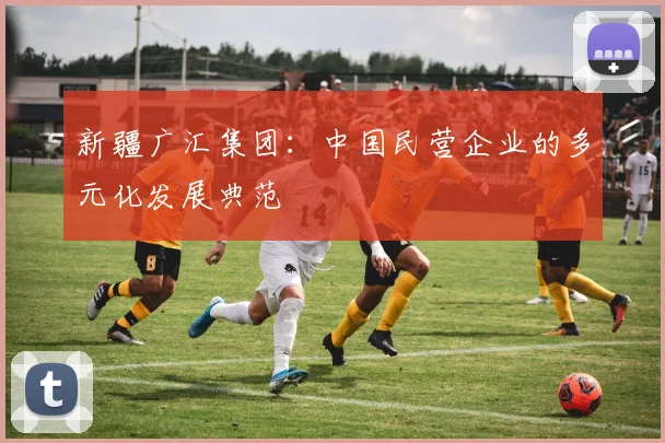 新疆广汇集团:中国民营企业的多元化发展典范