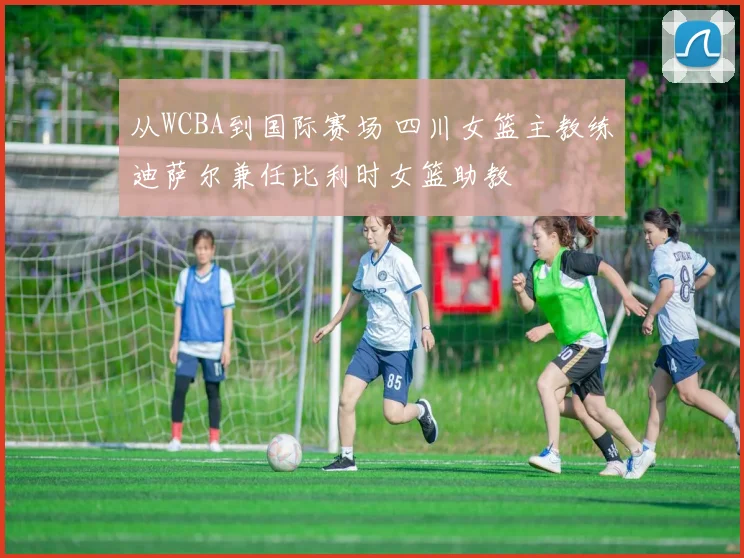 从WCBA到国际赛场 四川女篮主教练迪萨尔兼任比利时女篮助教