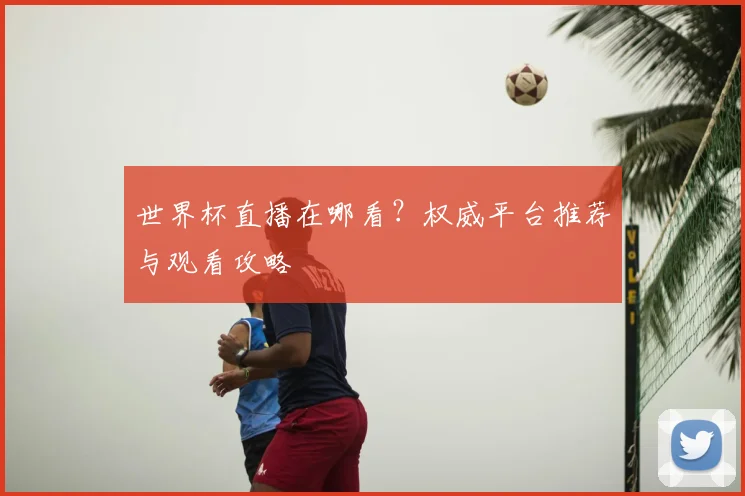 世界杯直播在哪看？权威平台推荐与观看攻略