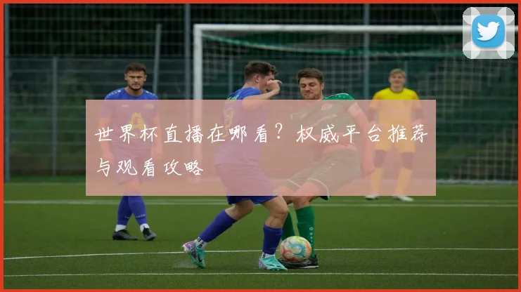 世界杯直播在哪看？权威平台推荐与观看攻略